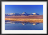 Licancabur Stratovolcano Reflected in Laguna Tebinquinche, Chile Fine Art Print