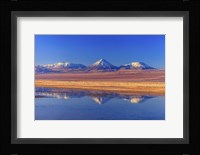 Licancabur Stratovolcano Reflected in Laguna Tebinquinche, Chile Fine Art Print