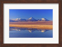 Licancabur Stratovolcano Reflected in Laguna Tebinquinche, Chile Fine Art Print