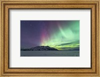 Northern Lights Over Kluane Lake, Yukon, Canada Fine Art Print