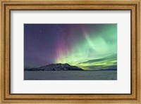 Northern Lights Over Kluane Lake, Yukon, Canada Fine Art Print