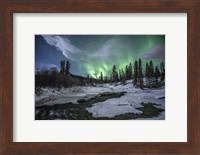 Northern Lights Above Fish Lake, Whitehorse, Yukon, Canada Fine Art Print
