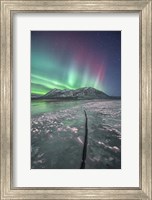 Northern Lights, Carcross, Yukon, Canada Fine Art Print
