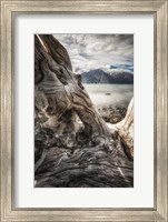 Kluane National Park, Yukon, Canada Fine Art Print