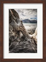 Kluane National Park, Yukon, Canada Fine Art Print