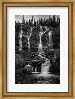 Tangle Falls, Jasper National Park, Alberta, Canada Fine Art Print