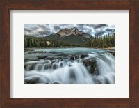 Athabasca Falls,  Jasper National Park Fine Art Print