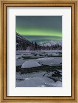 Northern Lights, Annie Lake, Yukon, Canada Fine Art Print