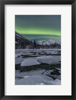 Northern Lights, Annie Lake, Yukon, Canada Fine Art Print