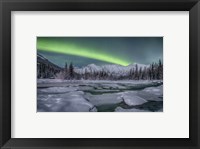 Northern Lights, Annie Lake Fine Art Print