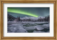 Northern Lights, Annie Lake Fine Art Print