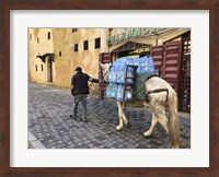 Mule Carrying Water, Through the Medina in Fes, Morocco, Africa Fine Art Print
