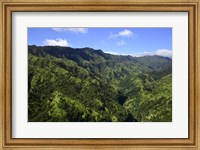 Aerial View Of Koloa, Hawaii Fine Art Print