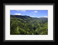 Aerial View Of Koloa, Hawaii Fine Art Print