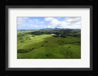 Wailua River State Park Fine Art Print
