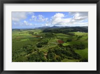 Wailua River State Park, Kauai, Hawaii Fine Art Print