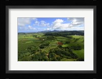 Wailua River State Park, Kauai, Hawaii Fine Art Print