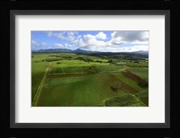 Wailua River State Park, Kauai, Hawaii Fine Art Print