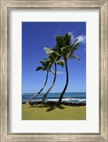 Palm Trees on the Coast Of Hauula Fine Art Print