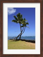 Palm Trees on the Coast Of Hauula, Oahu, Hawaii Fine Art Print
