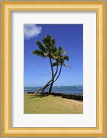 Palm Trees on the Coast Of Hauula, Oahu, Hawaii Fine Art Print