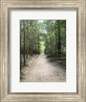 Catawba Falls Trailhead, Asheville, North Carolina Fine Art Print