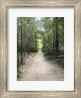 Catawba Falls Trailhead, Asheville, North Carolina Fine Art Print