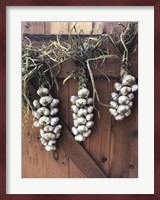 Garlic Braids Hanging on a Barn Door Fine Art Print