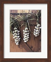 Garlic Braids Hanging on a Barn Door Fine Art Print