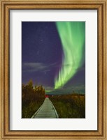 An Auroral Arc Over the Boardwalk at Rotary Park in Yellowknife Fine Art Print