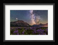 The Summer Milky Way and Mars Over Waterton Valley and Vimy Peak Fine Art Print