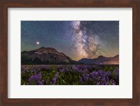The Summer Milky Way and Mars Over Waterton Valley and Vimy Peak Fine Art Print