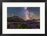 The Summer Milky Way and Mars Over Waterton Valley and Vimy Peak Fine Art Print