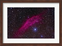 The California Nebula in Perseus Fine Art Print