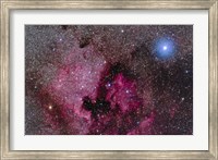 The North America Nebula Near Teh Bright Blue-White Star Deneb Fine Art Print