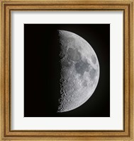 The 7 Day Old First Quarter Moon Fine Art Print
