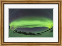 The Arc of the Auroral Oval Across the Northern Sky, in Churchill, Manitoba Fine Art Print