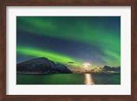 Auroral Curtains Along the Norwegian Coast Fine Art Print