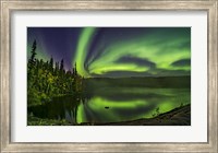 Aurora Over Cameron River With Autumn Colors Fine Art Print