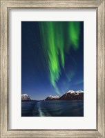 Aurora Over Moonlit Peaks in the Norwegian Sea Fine Art Print