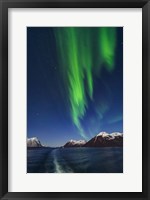 Aurora Over Moonlit Peaks in the Norwegian Sea Fine Art Print