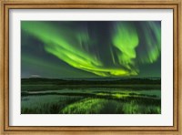 Aurora Over Prosperous Lake, Near Yellowknife Fine Art Print