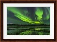 Aurora Over Prosperous Lake, Near Yellowknife Fine Art Print