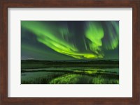 Aurora Over Prosperous Lake, Near Yellowknife Fine Art Print