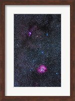 Rosette Nebula and Christmas Tree Cluster in Monoceros Fine Art Print