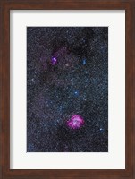 Rosette Nebula and Christmas Tree Cluster in Monoceros Fine Art Print