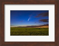 Comet NEOWISE Over a Ripening Canola Field Fine Art Print