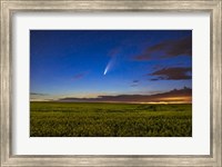 Comet NEOWISE Over a Ripening Canola Field Fine Art Print