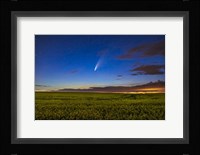 Comet NEOWISE Over a Ripening Canola Field Fine Art Print