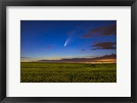 Comet NEOWISE Over a Ripening Canola Field Fine Art Print